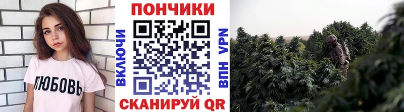 Виды наркотиков купить Ухта КОКАИН  Alpha PVP  Галлюциногенные грибы  Конопля 