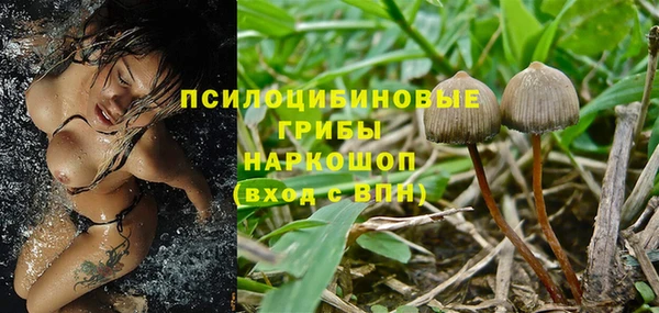 apvp Коряжма