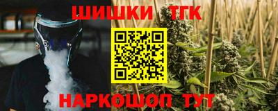 хмурый Кингисепп