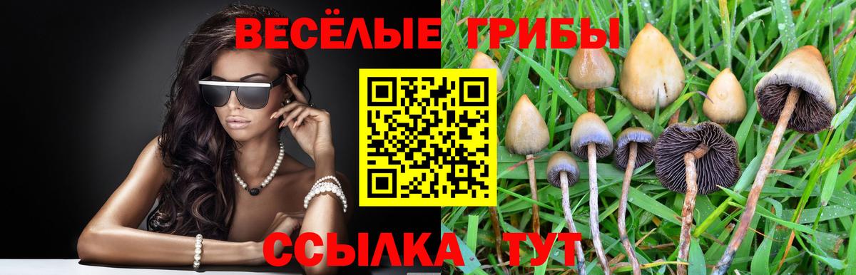Галлюциногенные грибы ЛСД Ухта