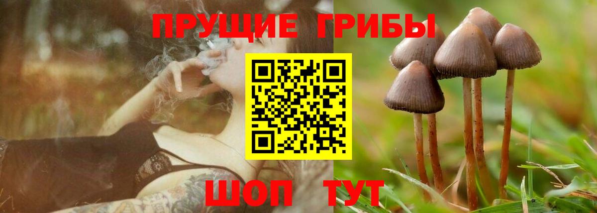 Галлюциногенные грибы GOLDEN TEACHER  Вход с VPN  Галлюциногенные грибы ЛСД  Ухта 